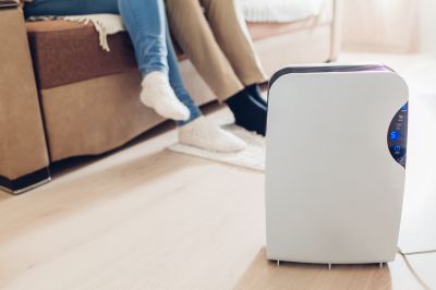 Basement Dehumidifier Service in Monmouth County, NJ