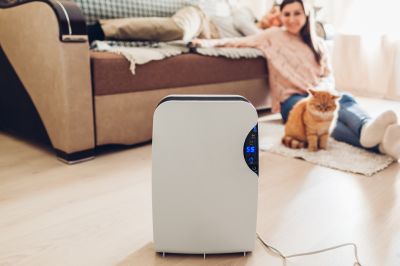Dehumidifier Replacement in Naples, FL